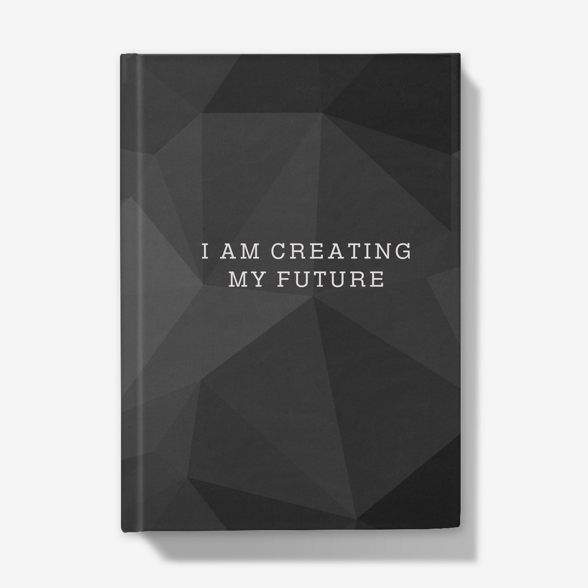 I am creating my future manifestation journal