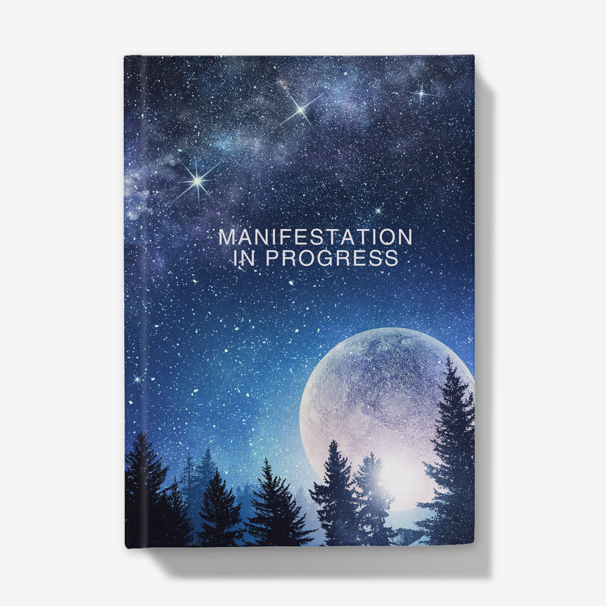 Manifestation in progress manifestation journal